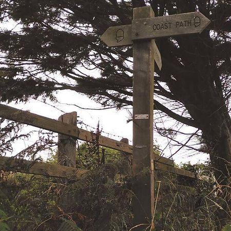 The Tempest, Sea Views, Coastal & Rural Walks. Ilfracombe Exterior foto